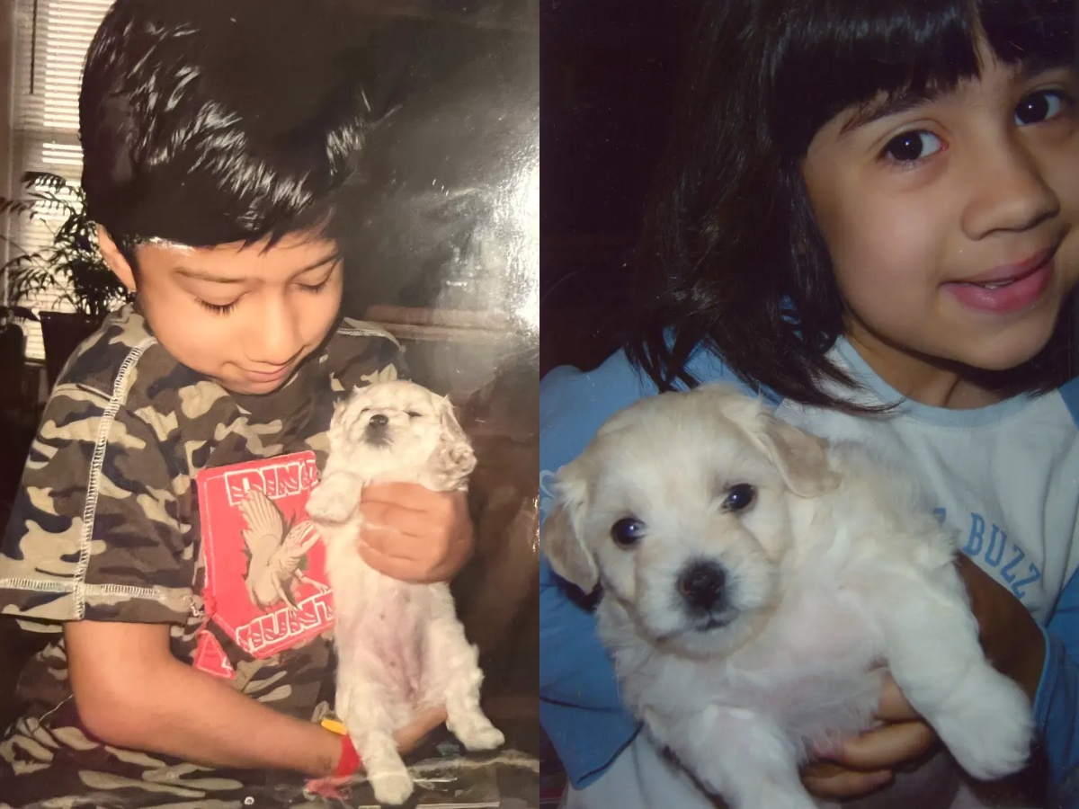 A collage of Animals Named After The Devil